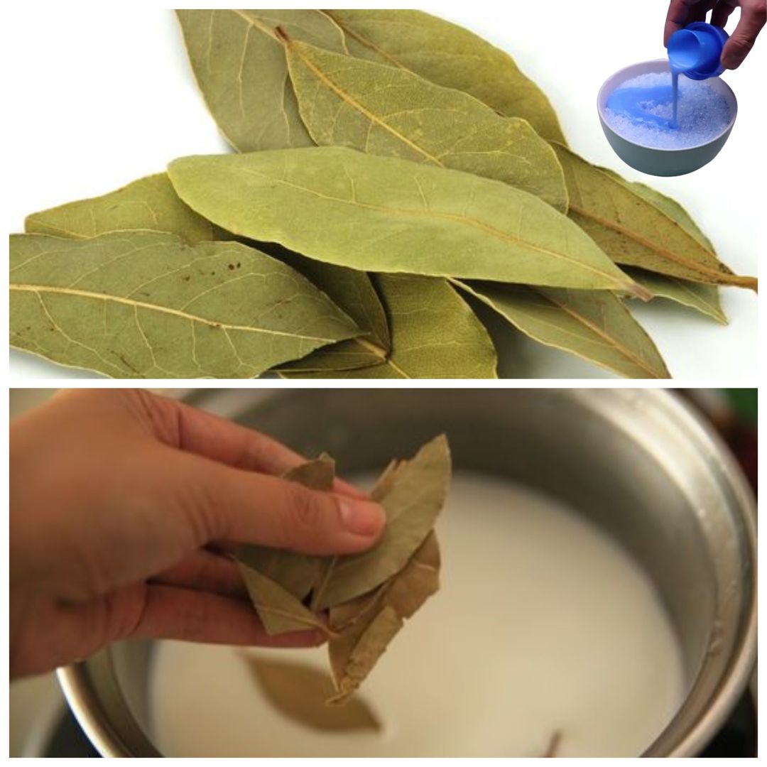 How to perfume the entire house using only bay leaves