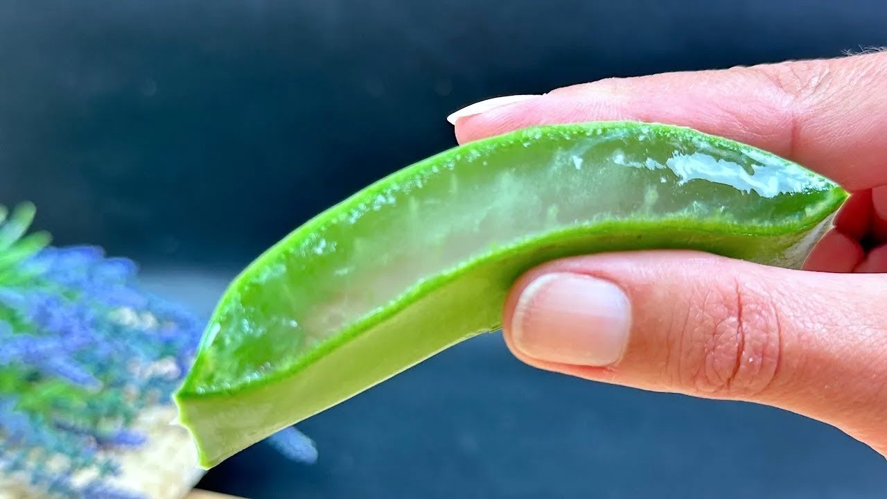 Unlock the Secret to Healthy, Vibrant Hair with Aloe Vera!