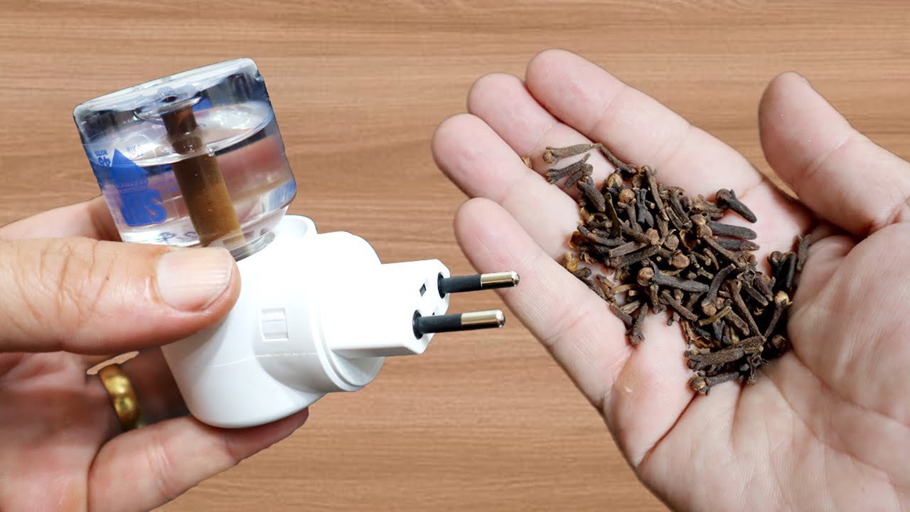 Save Money with a Homemade Refill for Electric Repellents