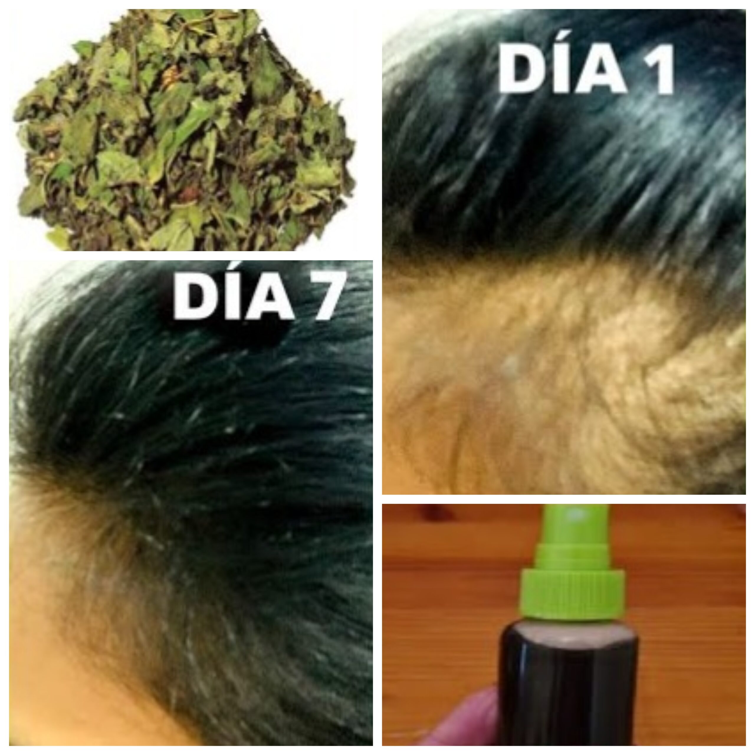 Revitalize Your Hair Naturally with a Refreshing Herbal Solution