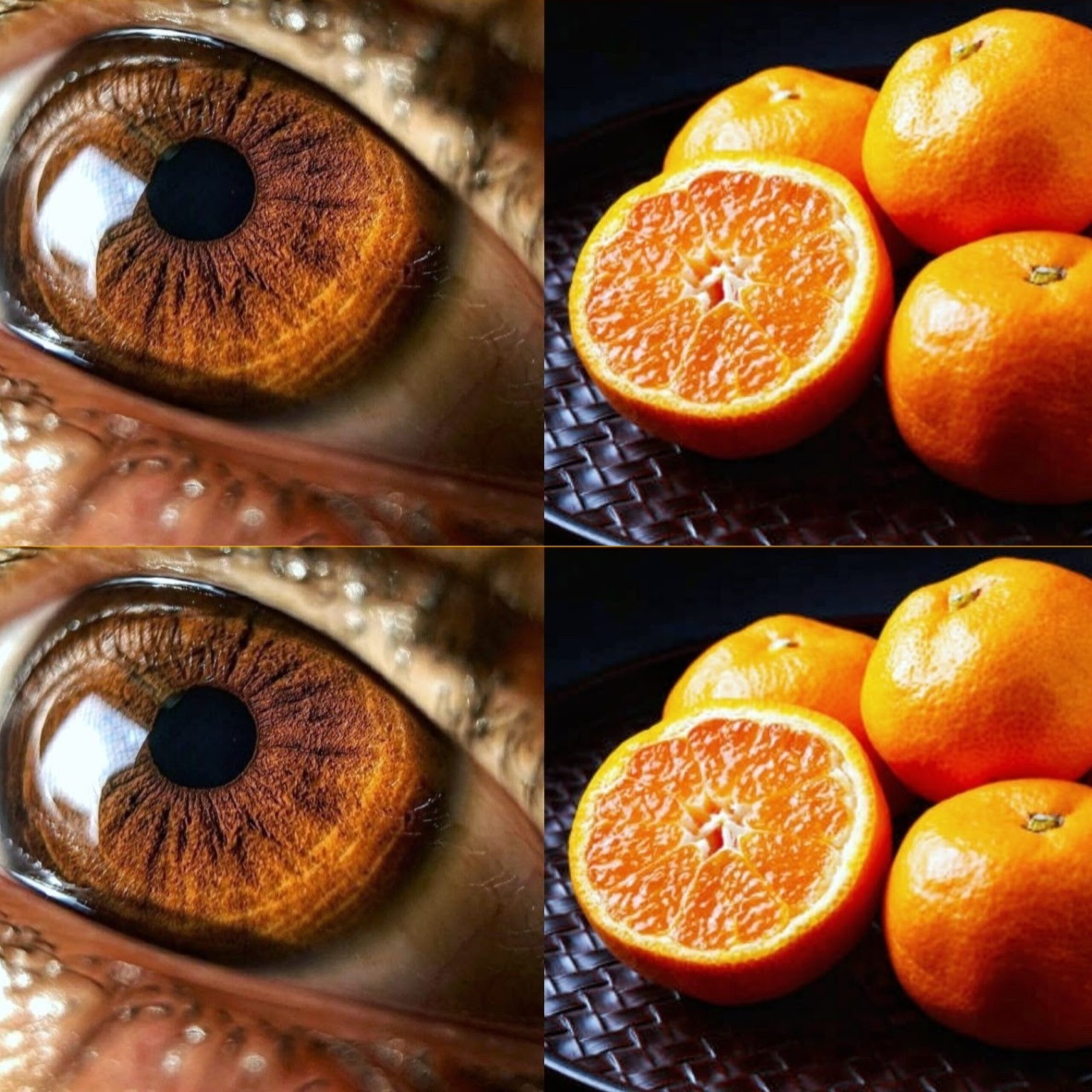 Unlocking the Secrets to Healthy Eyes with Everyday Foods