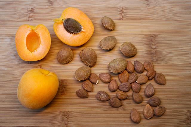 The Apricot Seed Debate: A Closer Look