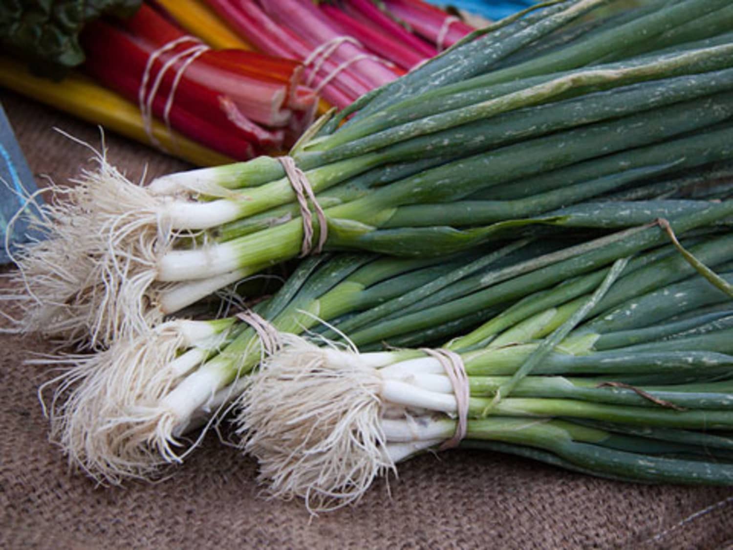 Green Onions Galore: Five Recipes to Brighten Your Winter