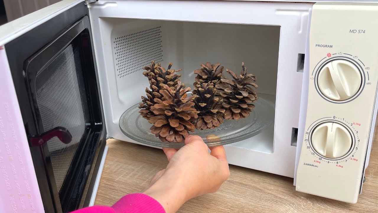 The Pine Cone Transformation: A Warm Surprise from the Oven