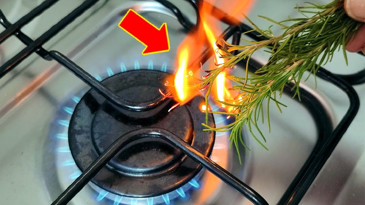 Urgent Warning: Burn This Plant Immediately (Do You Have It at Home?)