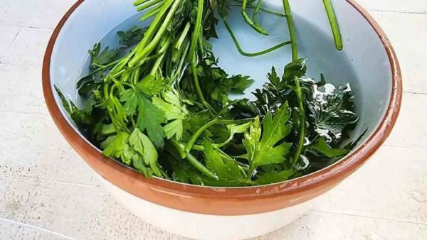 Achieving a Month-Long Supply of Fresh Parsley with the Bowl Method