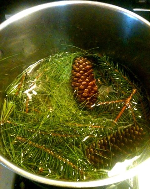 8 Terrific Ways to Use Pine Needles Right Now