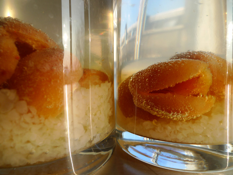 Quick and Nutritious Breakfast: Kefir with Dried Apricots