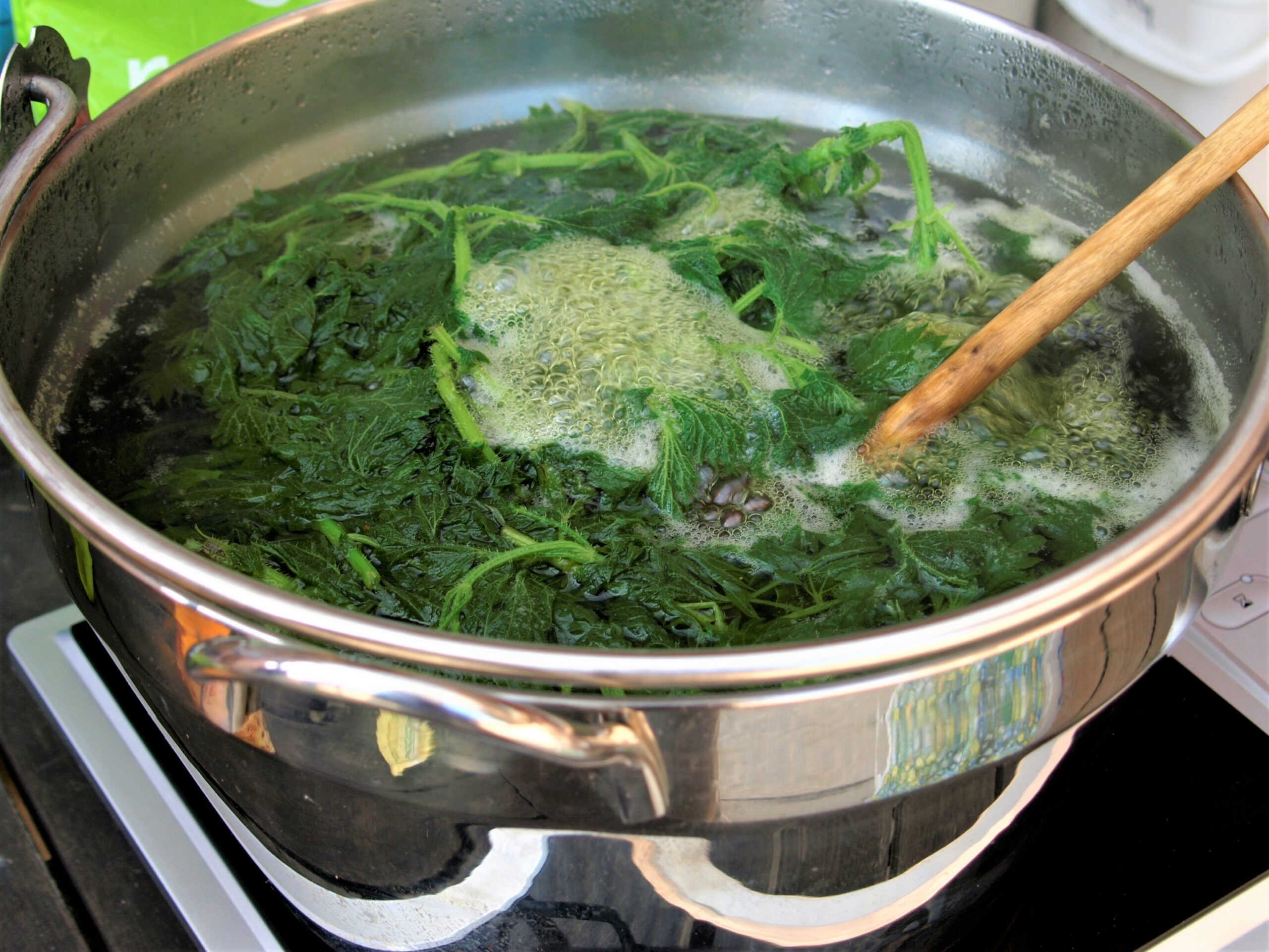 Turkish Delight: Delicious and Nutritious Nettle Recipe!