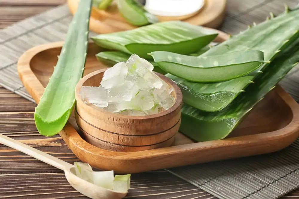 Unlocking the Health Benefits of Aloe Vera: A Guide to Eating This Superfood