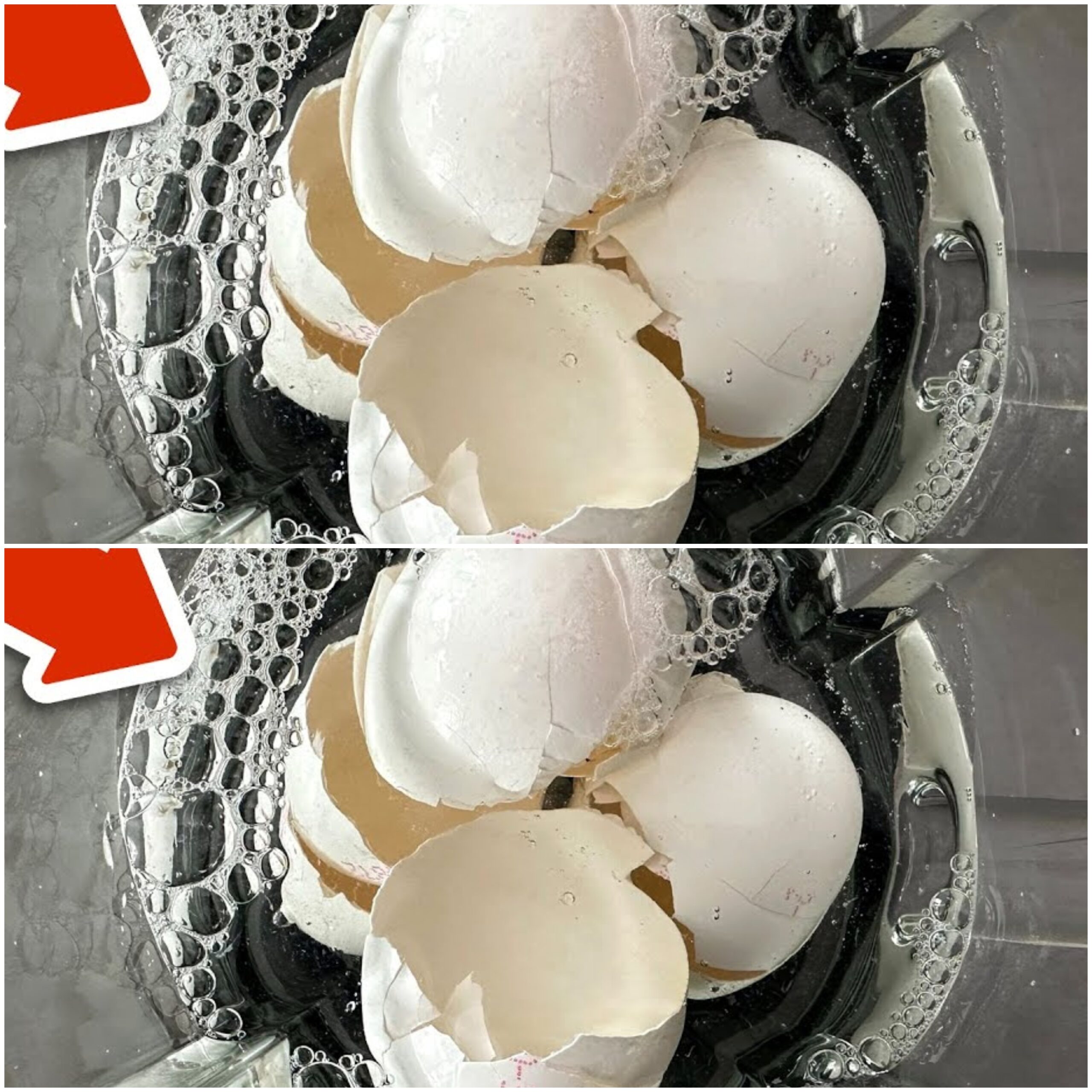 The Mind-Blowing Magic of Eggshells in a Blender