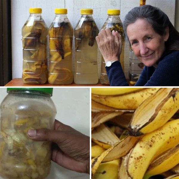 Banana Peels: A Surprising Household Ally