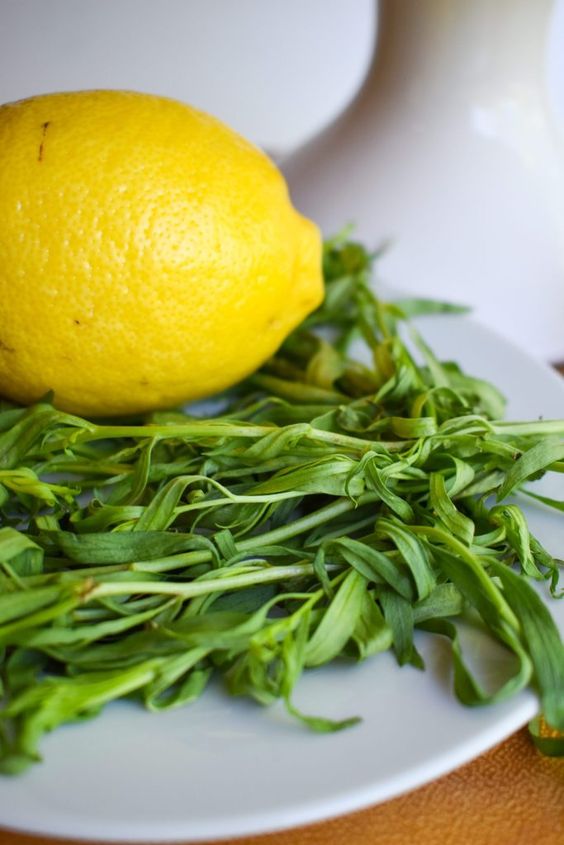 Discover the Delight of Homemade Tarragon and Lemon Drink: Rich Taste at Little Cost