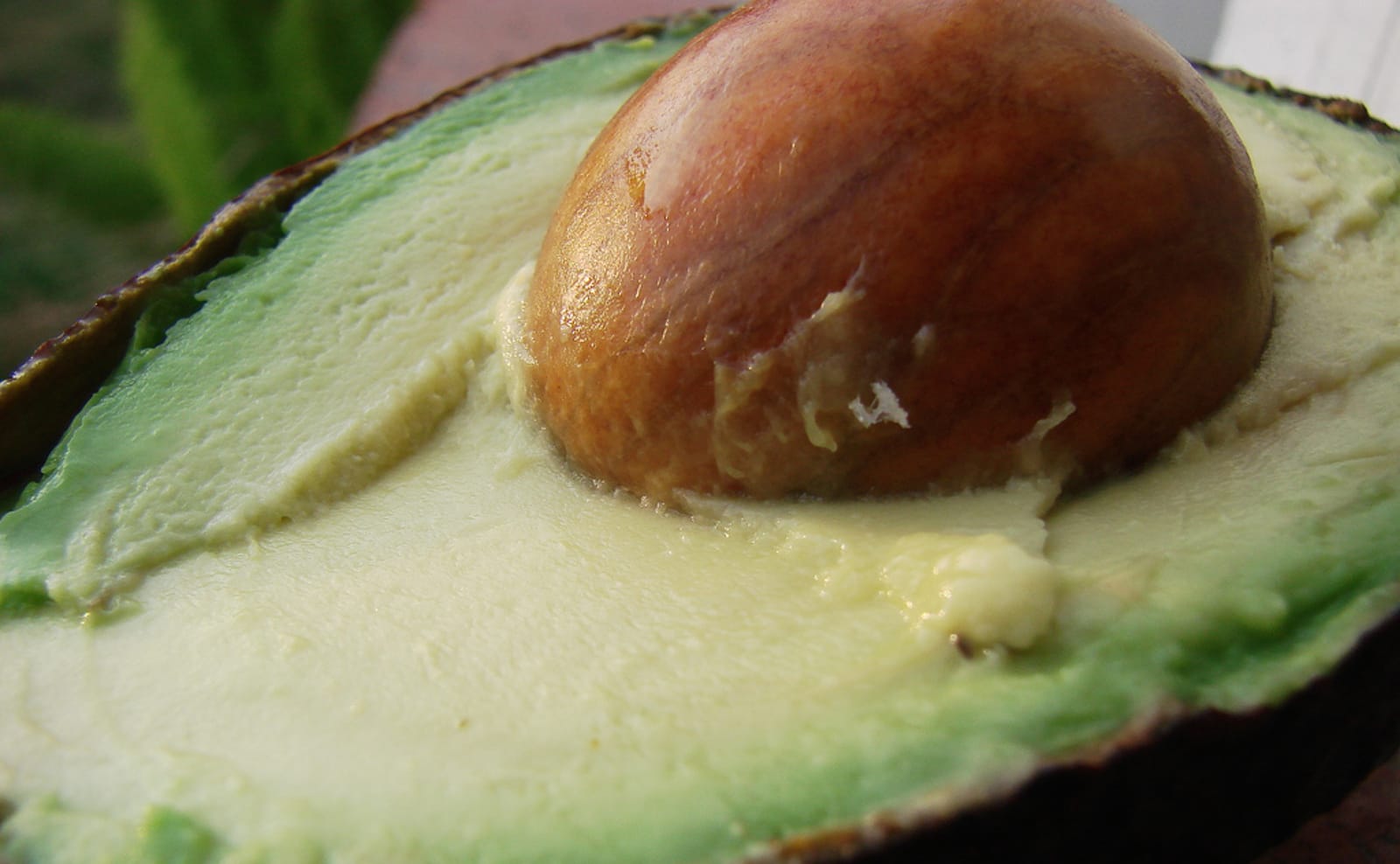 Unlocking the Hidden Treasure: Why You Should Never Throw Away an Avocado Seed