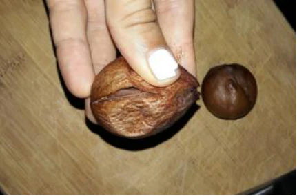 Unveiling the Hidden Treasure of Dried Avocado Seeds: How to Harness Their Power