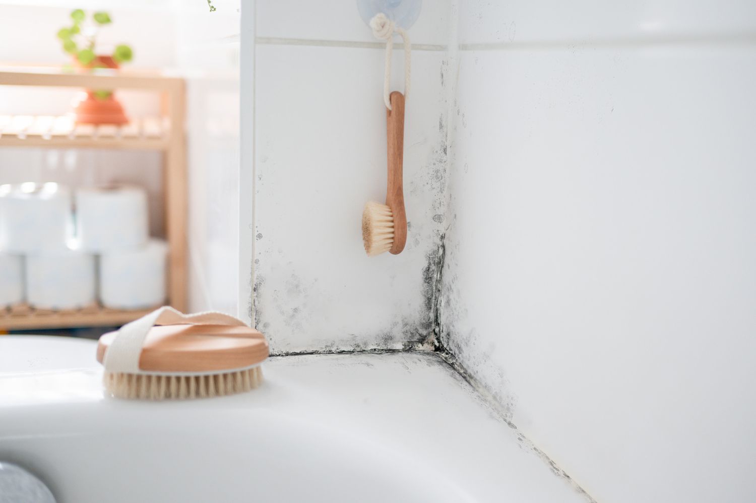 Banish Mold Naturally: The Power of Vinegar for Mold Removal