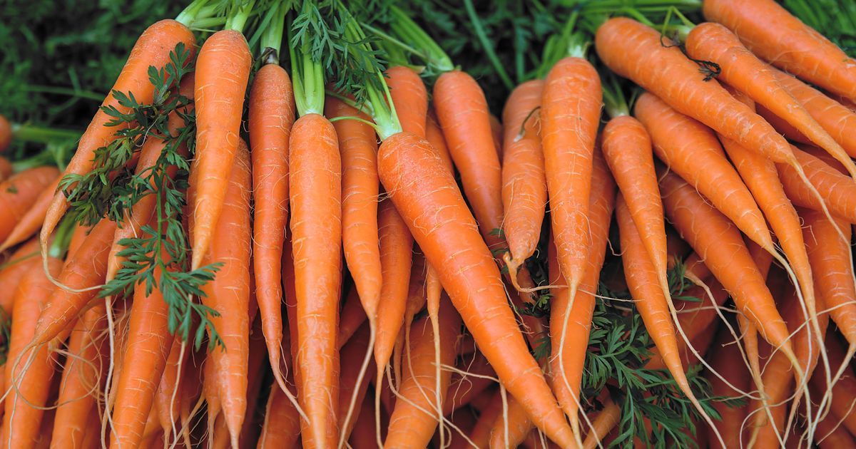 Carrot Spice Elixir: A Quick and Delicious Drink in Just 5 Minutes!