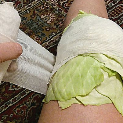 Discover the Surprising Health Benefits of Rolling Cabbage on Your Knees