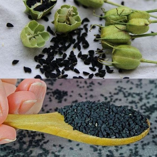 Black Cumin Seeds: The Secret to Better Health