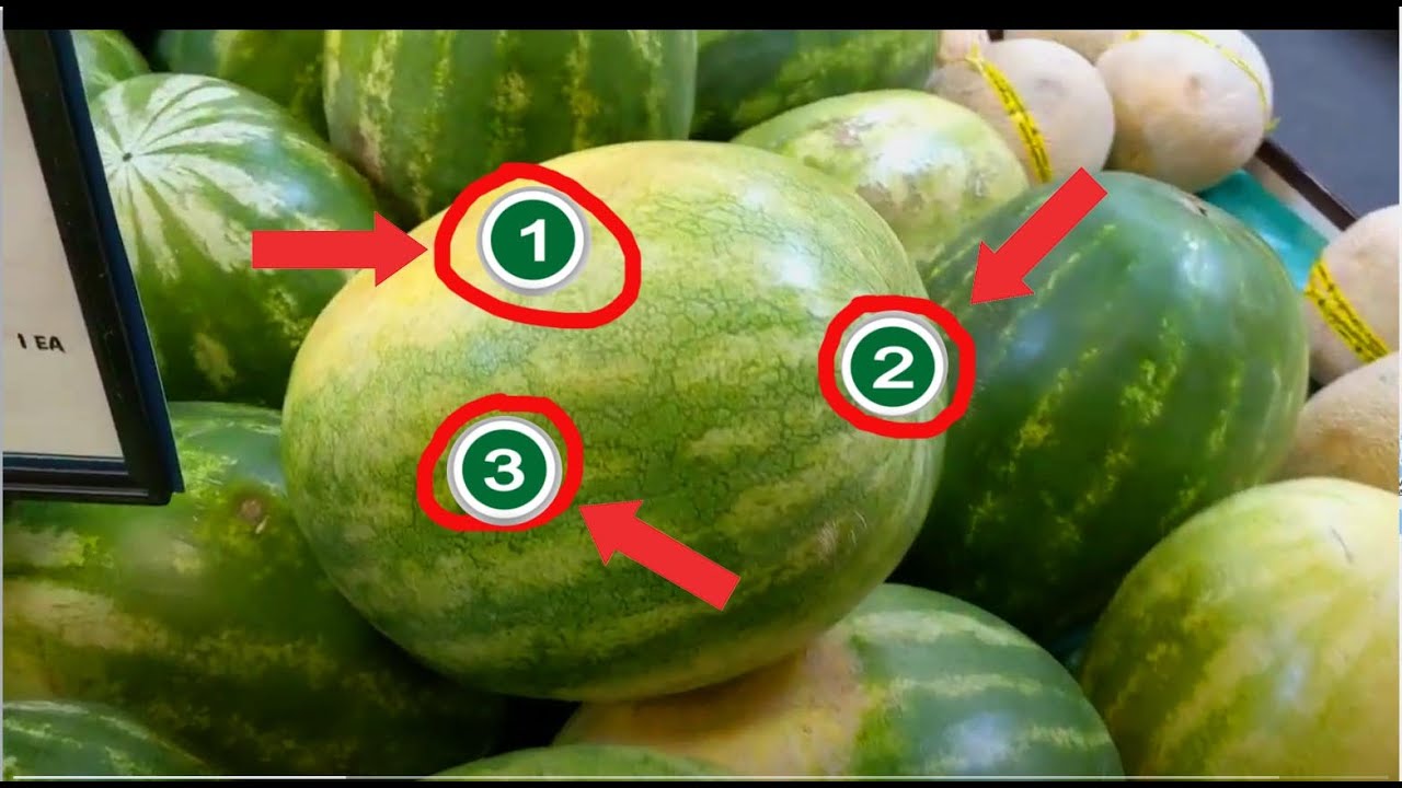 A Guide to Selecting and Enjoying the Perfect Watermelon