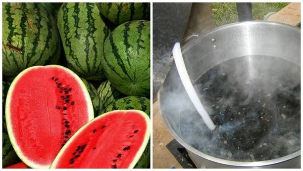 Unlock the Hidden Potential of Watermelon Seeds