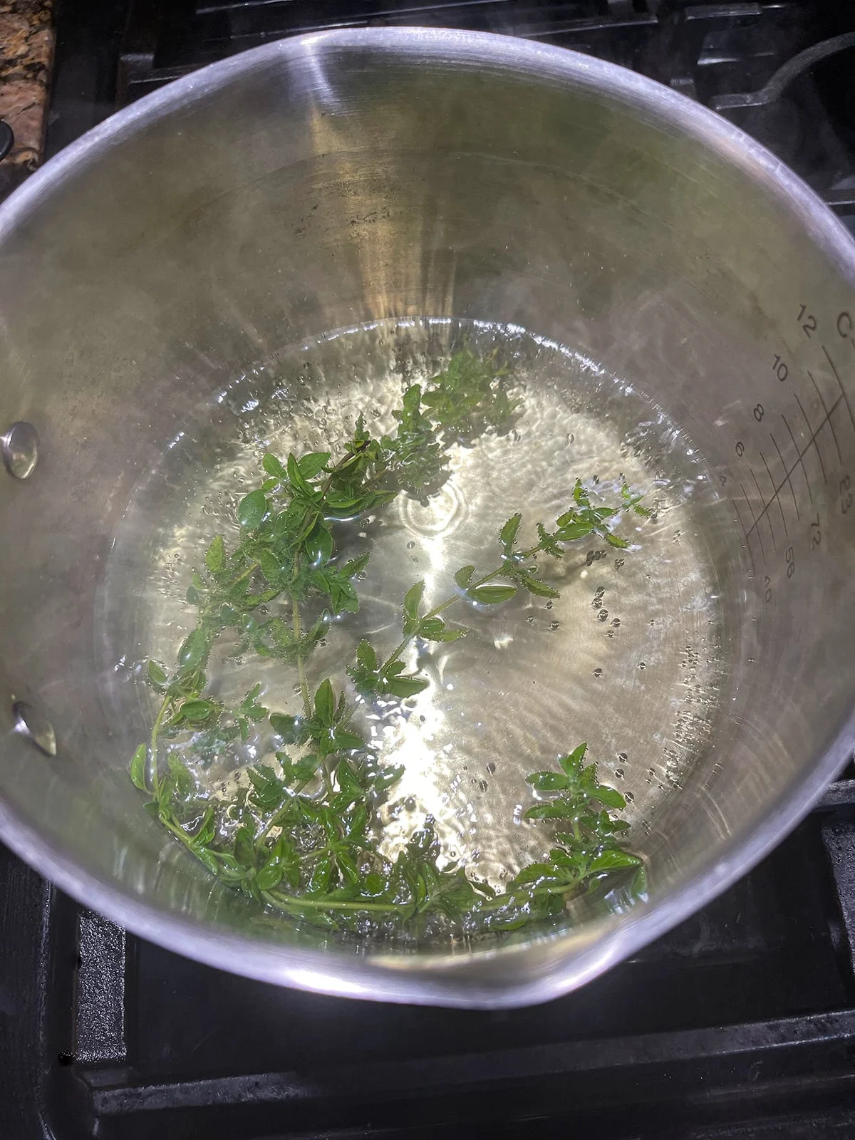 Unlocking the Benefits of Oregano: A Simple Elixir for Wellness