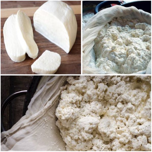 Learn How to Make Delicious Homemade Cheese!