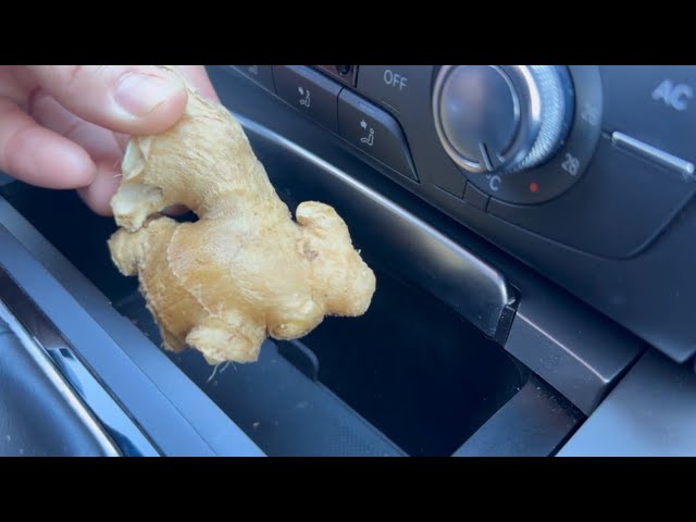 The Surprising Lifesaving Benefits of Keeping Ginger in Your Car