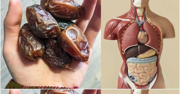 The Delightful Perks: Improve Your Health by Eating Two Dates Daily