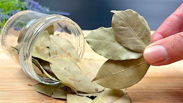 Enhancing Hair with Bay Leaves