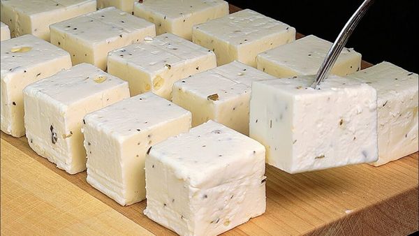 Introduction to Quick Cheese Making