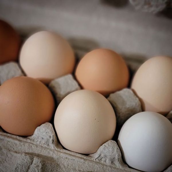 The Benefits of Incorporating Eggs into Your Diet