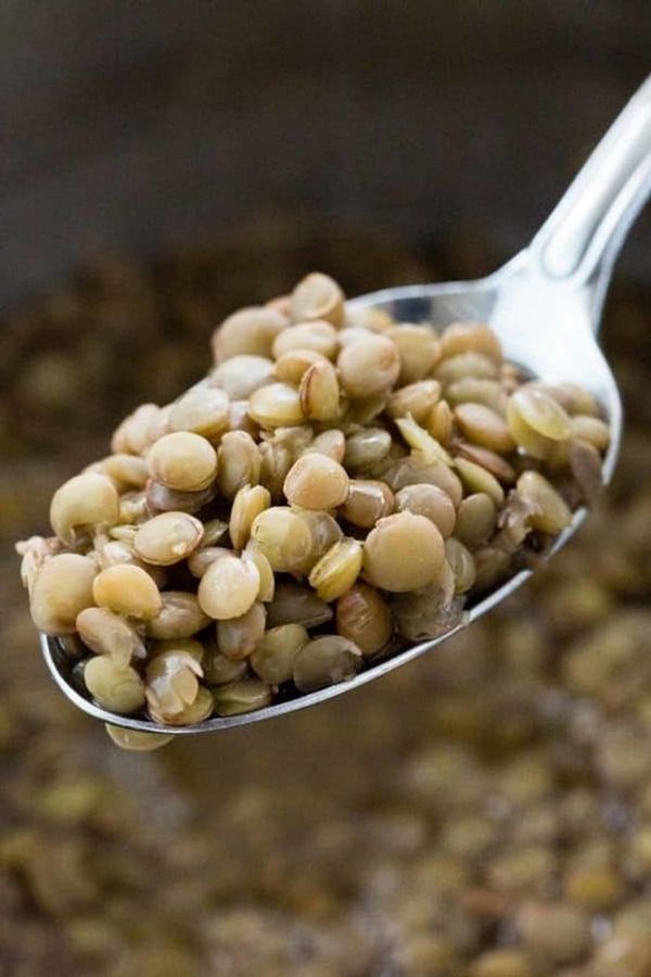 Green Lentils: A Delicious and Nutritious Meat Alternative