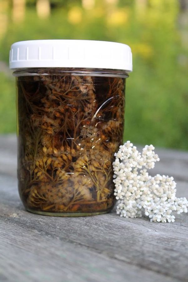 Yarrow Tincture: Your Natural Health Companion