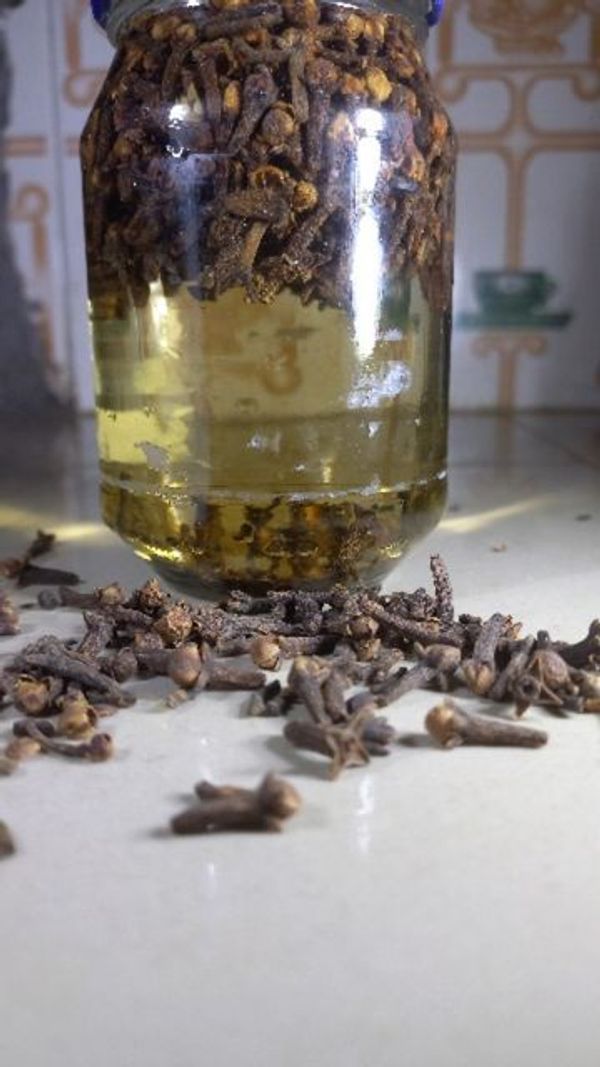 The Amazing Benefits of Cloves for Bronchitis