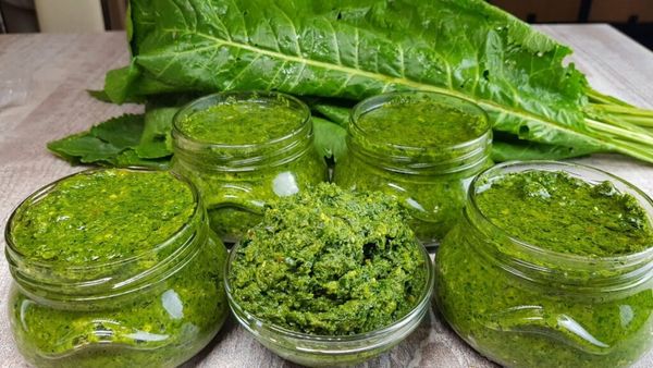 Homemade Horseradish Leaf Seasoning: Adding a Kick to Your Winter Meals