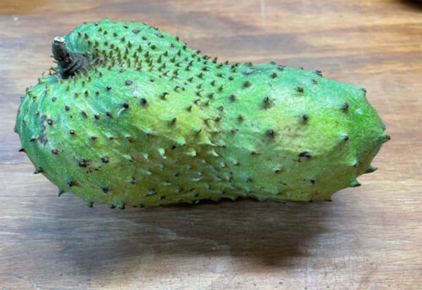 Discover the Tropical Delight of Soursop