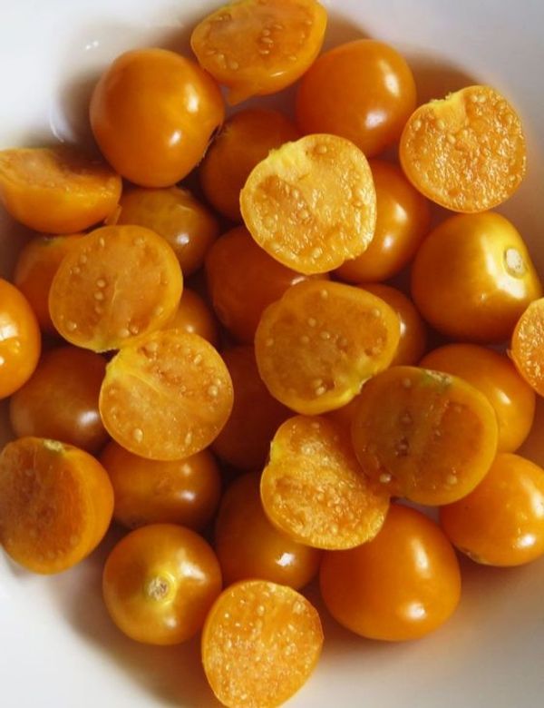 The Power of Physalis: A Fruit Packed with Health Benefits