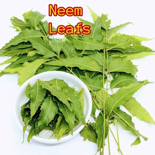 Benefits of Neem Leaf Powder