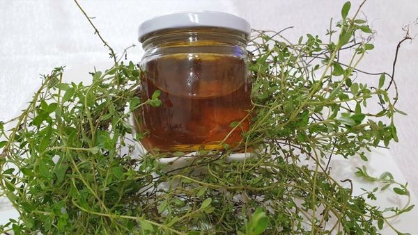 Find Balance and Wellness with Thyme Oil