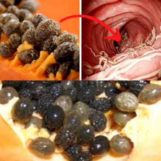 Unlocking Nature’s Remedy: Using Papaya Seeds to Banish Parasites