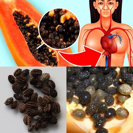 Exploring the Health Benefits and Risks of Eating Papaya Seeds