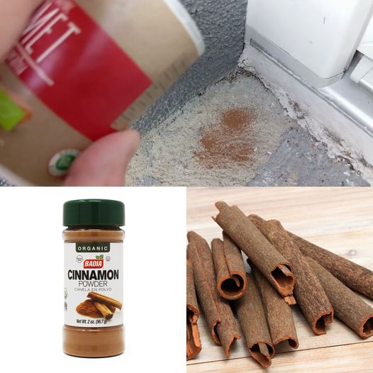 Unlocking the Charm: The Magic of Sprinkling Cinnamon Behind Your Door